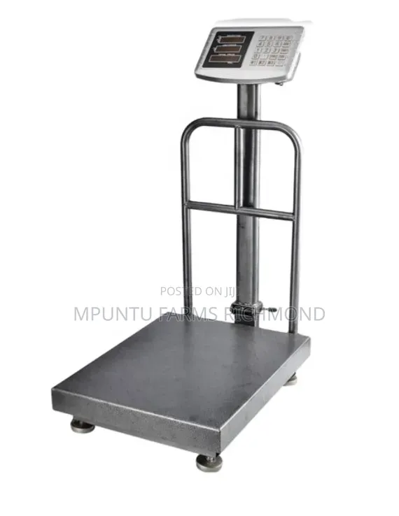 Scale (Electronic Platform Scale)