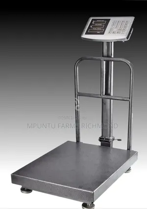 Scale (Electronic Platform Scale)