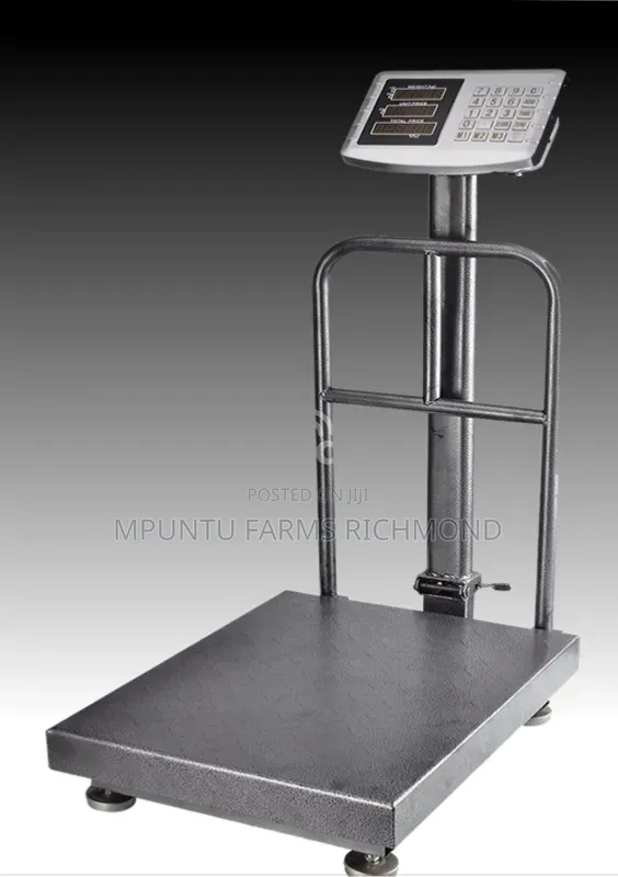Scale (Electronic Platform Scale)