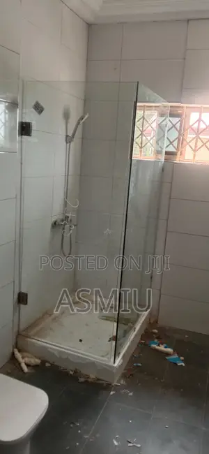 Aluminum Doors And Frameless Shower Doors