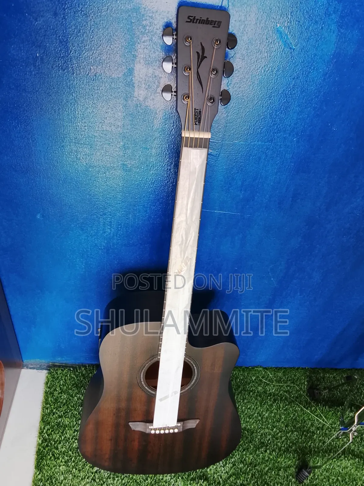 Semi Acoustic Guitar