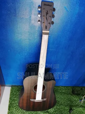 Semi Acoustic Guitar