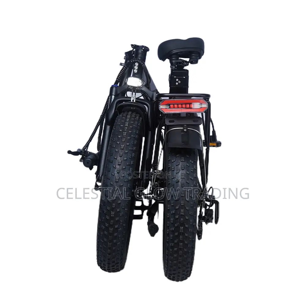48v Electric Fat Bike Heavy Duty 200kg Load Capacity 20 Inch