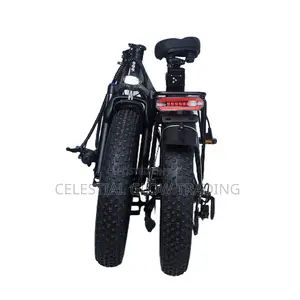 48v Electric Fat Bike Heavy Duty 200kg Load Capacity 20 Inch