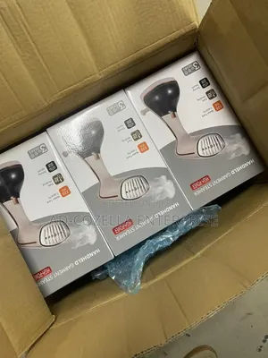 Cloth Steamer Irom