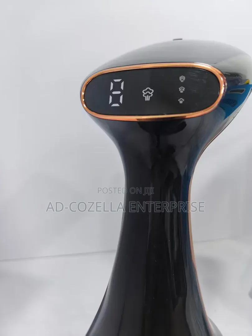 Cloth Steamer Irom