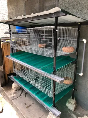 4 Unit Cage For Rabbits And Grasscutters