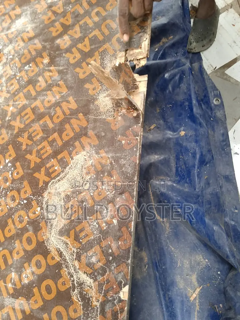 Rental of Used Marine Plywood