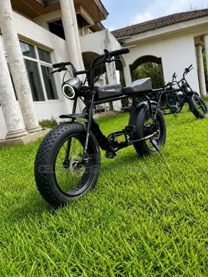 High-Performance Fat Tire Electric Bike | 350w-1500w Retro E-Bike