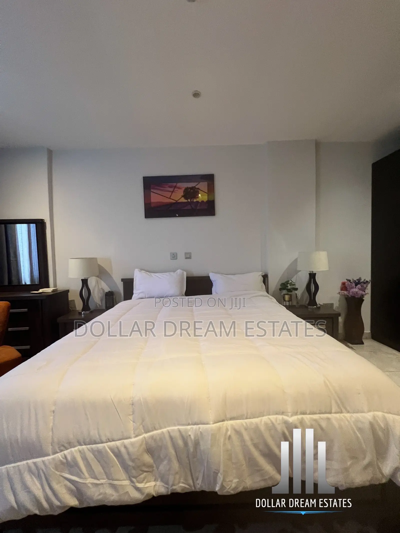 Furnished 1bdrm Apartment in East Legon for rent