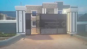 Professional Expert Painter