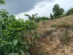 4 Plots ( Main Highway Road Side) Boankra Inland Port.
