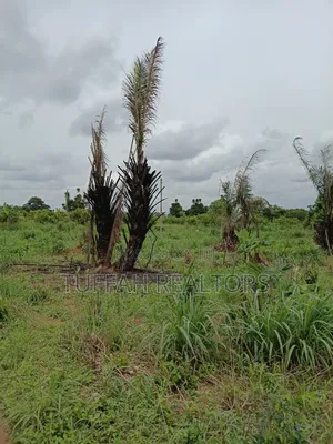 Farmland for Sale in Akuapim North