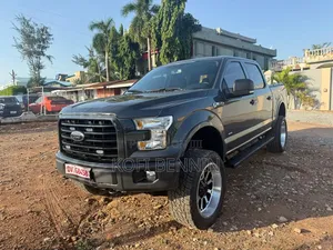 Ford F-150 2017 Gray