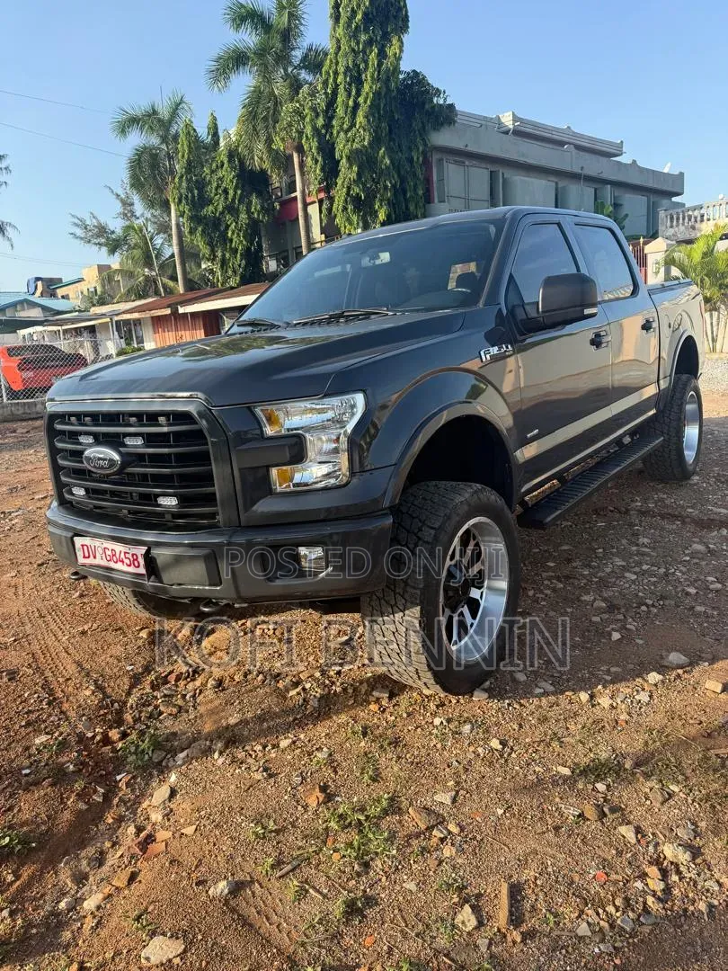 Ford F-150 2017 Gray