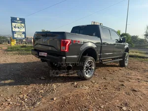 Ford F-150 2017 Gray
