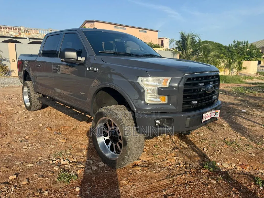 Ford F-150 2017 Gray
