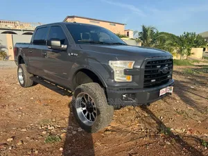 Ford F-150 2017 Gray