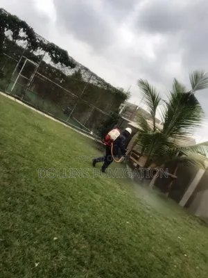 Dorllins Fumigation 'Say Goodbye to Pest -for Good!’