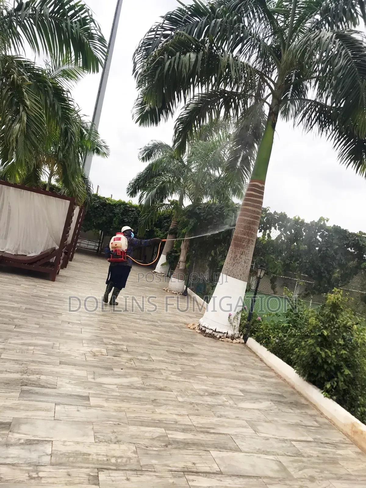 Dorllins Fumigation 'Say Goodbye to Pest -for Good!’