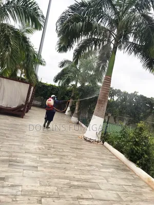 Dorllins Fumigation 'Say Goodbye to Pest -for Good!’