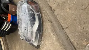 Audi A5 Headlight Pair