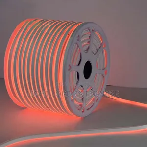 Orange Color Neon 100meters