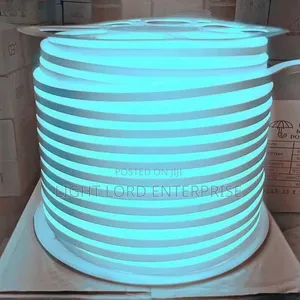 Ice Blue Neon Rope Light