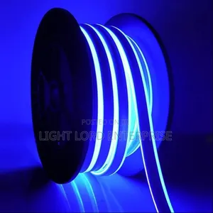 Dip Blue Rope Light Neon