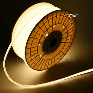 Cohen Led Strip Neon 100meters