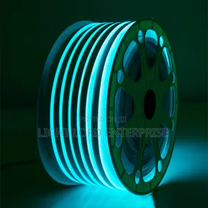 Durableice Blue Led Neon 100meters