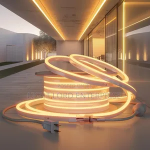 Home Decor Light 240v Neon
