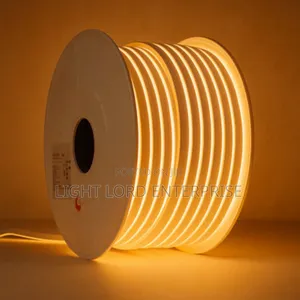 Warm Color Led Strip Light 100meters