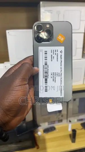 Apple iPhone 13 Pro Max 256 GB Gray