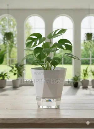 Self-Watering Planters