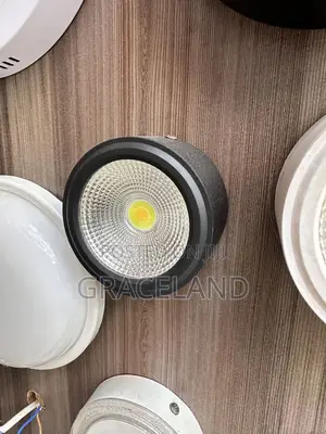 This Is Original Spotlight Set of 2in1 Ceiling Lights
