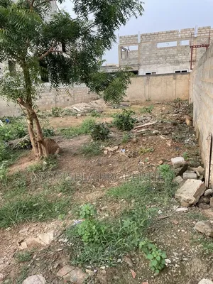 Half Plot of Land in Ayi Mensah