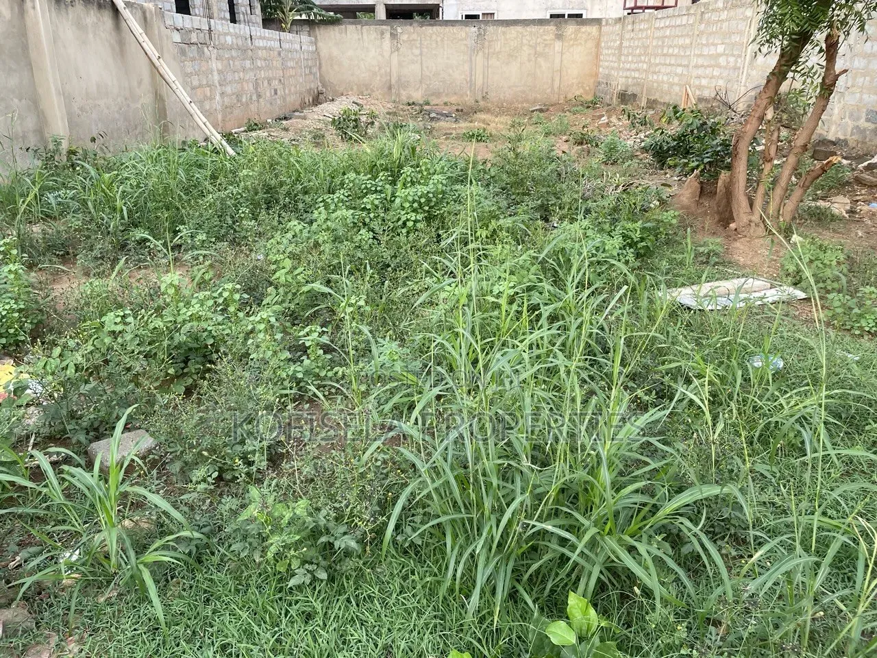 Half Plot of Land in Ayi Mensah