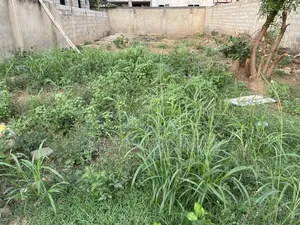 Half Plot of Land in Ayi Mensah