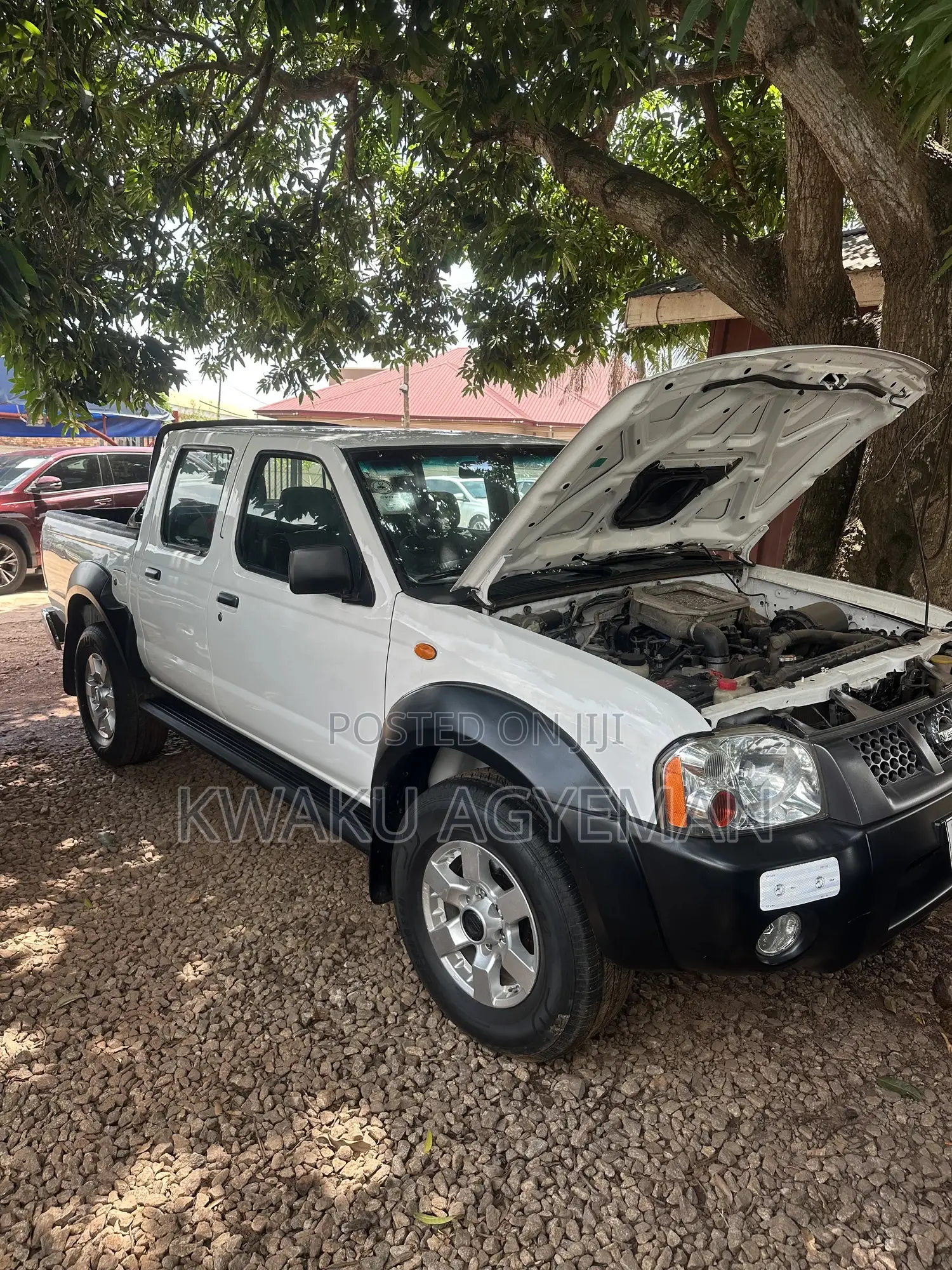 Nissan Hardbody 2019 White