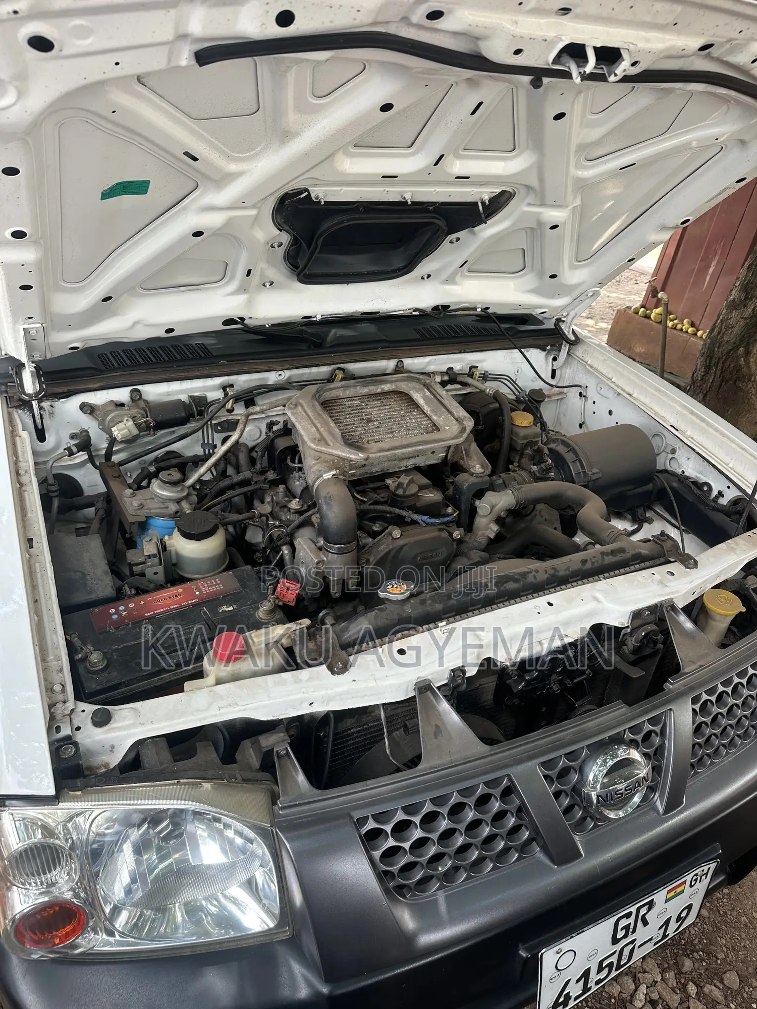 Nissan Hardbody 2019 White