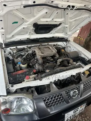 Nissan Hardbody 2019 White