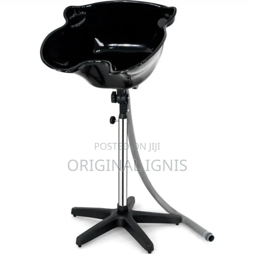 Standing Hair Washing Basin