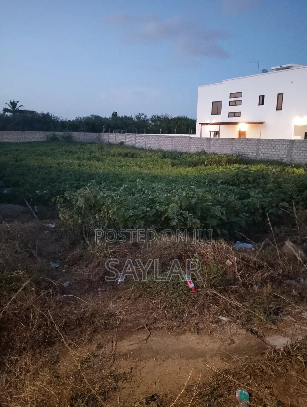 2 Plots at the Southern Entrance of Palm Ridge Comm24 for Sale