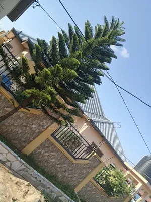 4bdrm House in Oyarifa, Ghana Flag for rent