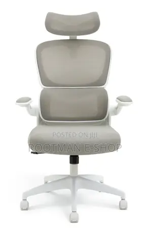 Hylone Ergonomic Office Chair With a Gray Mesh Backrest