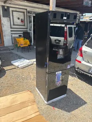 Pearl 262l Fridge Modern Design With Bottom Freezer