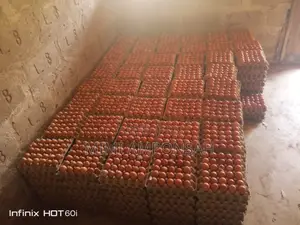 Cheap And Affordable Eggs