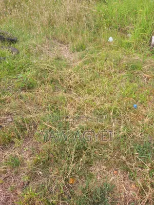 Land for Sale at Dodowa Behind Forest Hotel