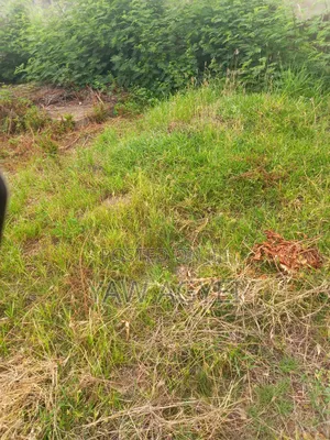 Land for Sale at Dodowa Behind Forest Hotel